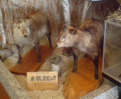合宿6.12.jpg